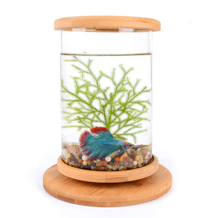 Mini aquarium rotatif