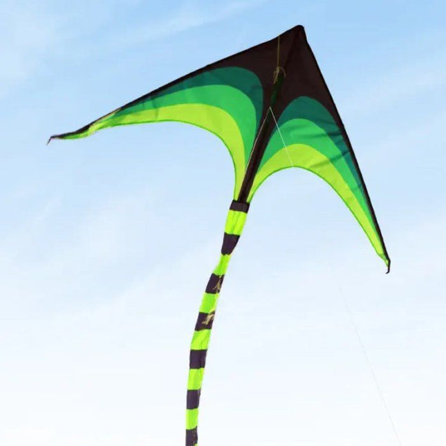 Large Delta Kite for Outdoor Sports - Wnkrs