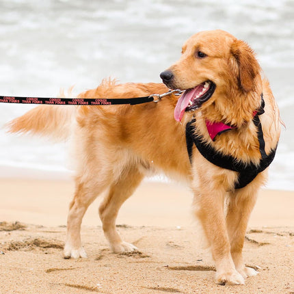 Cool Design Pet Leash - Sarcastic Leash - Quote Leash for Dogs - wnkrs
