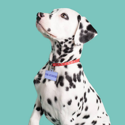 Cute Funny Pet ID Tag - Creative Pet Tag - Cool Design Pet ID Tag - wnkrs
