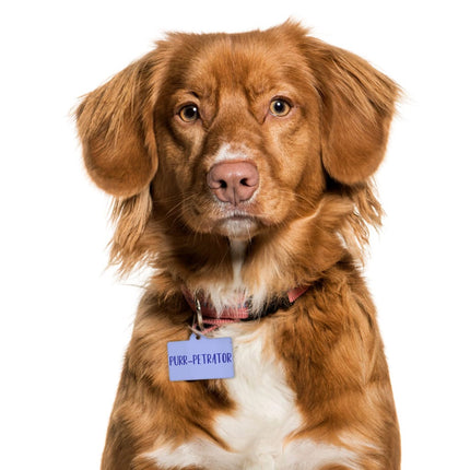 Cute Funny Pet ID Tag - Creative Pet Tag - Cool Design Pet ID Tag - wnkrs
