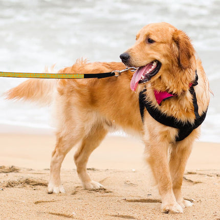 Life Is Better With Pets Pet Leash - Kawaii Leash - Printed Leash for Dogs - wnkrs