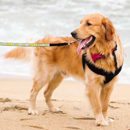 I Am Not Lazy Pet Leash - Quote Leash - Themed Leash for Dogs - wnkrs