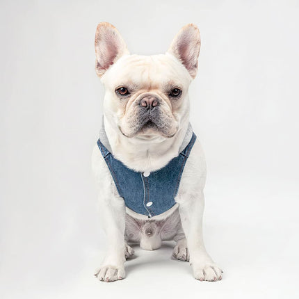 Acted Crazy Dog Denim Jacket - Funny Dog Deim Coat - Colorful Dog Clothing - wnkrs