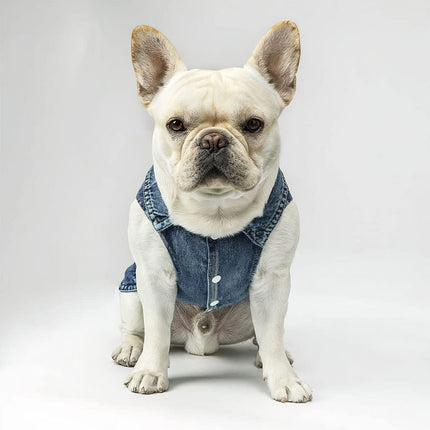Acted Crazy Dog Denim Vest - Funny Dog Denim Jacket - Colorful Dog Clothing - wnkrs