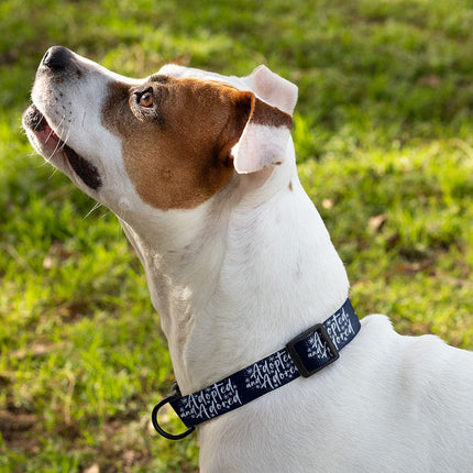 Adopted Pet Collar - Cute Dog Collar - Trendy Dog Collar - wnkrs