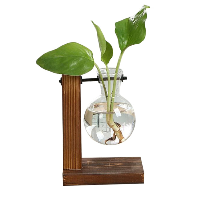Terrarium Hydroponic Plant Vase with Stand - wnkrs