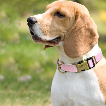 Dog's Pastel Color Collar - wnkrs