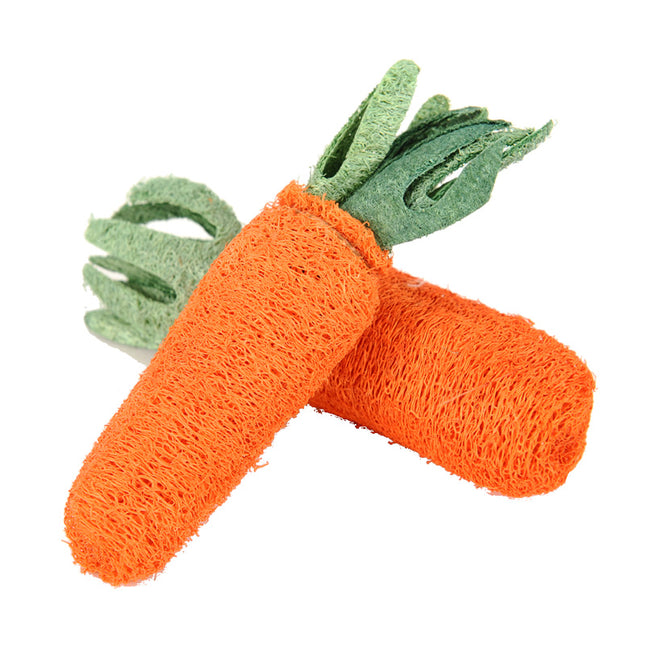 Chew Carrot Shaped Toy - wnkrs