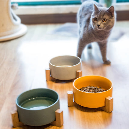 Ceramic Elevated Bowl for Pets - wnkrs