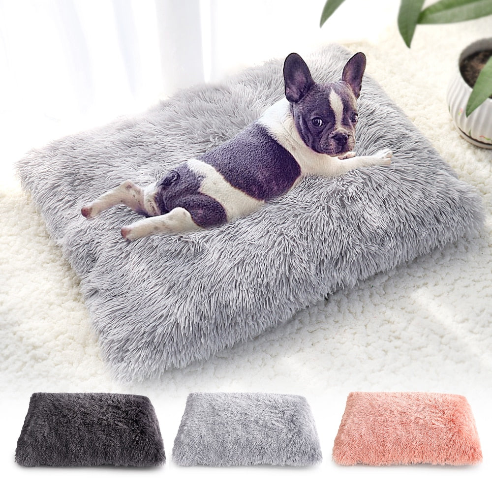 Plush Pet Bed
