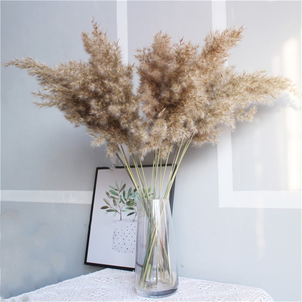 Set of Natural Dried Pampas Grass Bunches