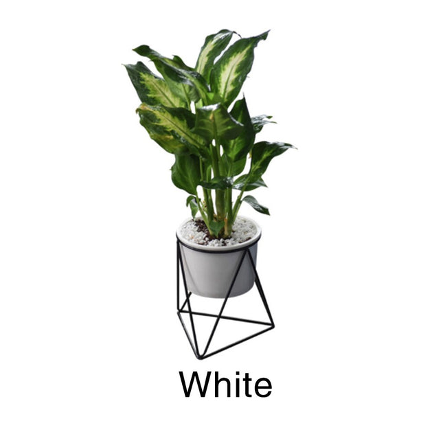 Geometric Design Plant Pot - wnkrs