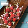 gomphrena-globosa-li