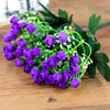 morado oscuro