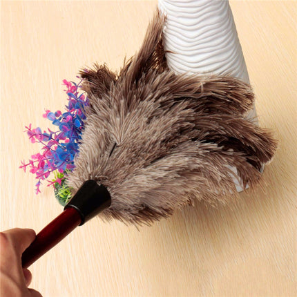 Anti-Static Natural Ostrich Feather Duster for Cleaning - wnkrs