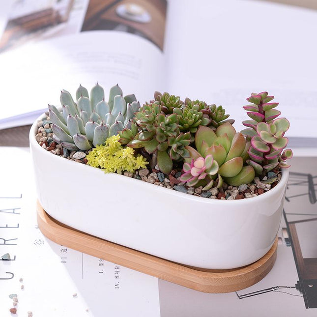 Bamboo and Ceramic Minimalist White Plant Pot - wnkrs