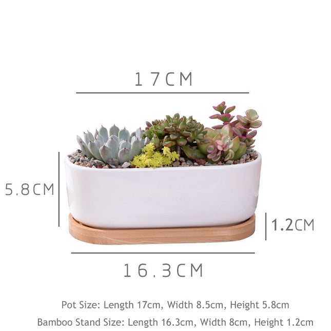 Bamboo and Ceramic Minimalist White Plant Pot - wnkrs