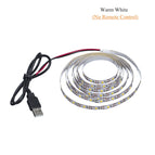 warm-white / 1m