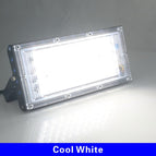 blanc froid / 50w