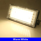 blanc chaud / 50w