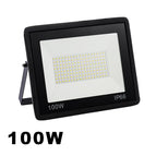 100w / blanc chaud