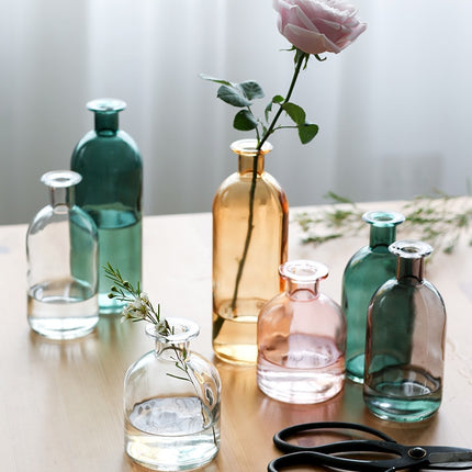 Transparent Glass Decorative Vase - wnkrs