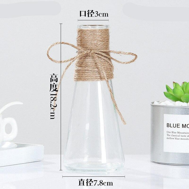 Creative Nordic Glass Bottle Vase - wnkrs