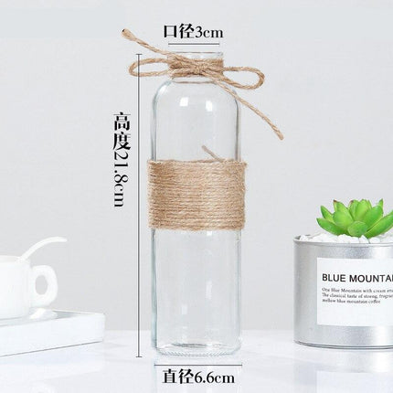 Creative Nordic Glass Bottle Vase - wnkrs