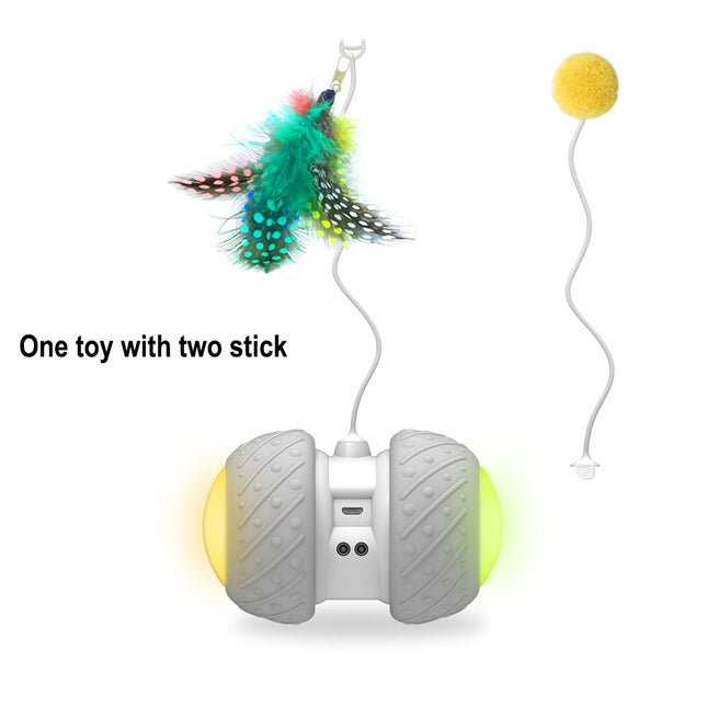 Feather Decorated Interactive Cat Toy - wnkrs