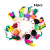 10-x-pcs-b