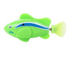 clownfish-green