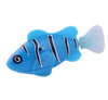 clownfish-blue