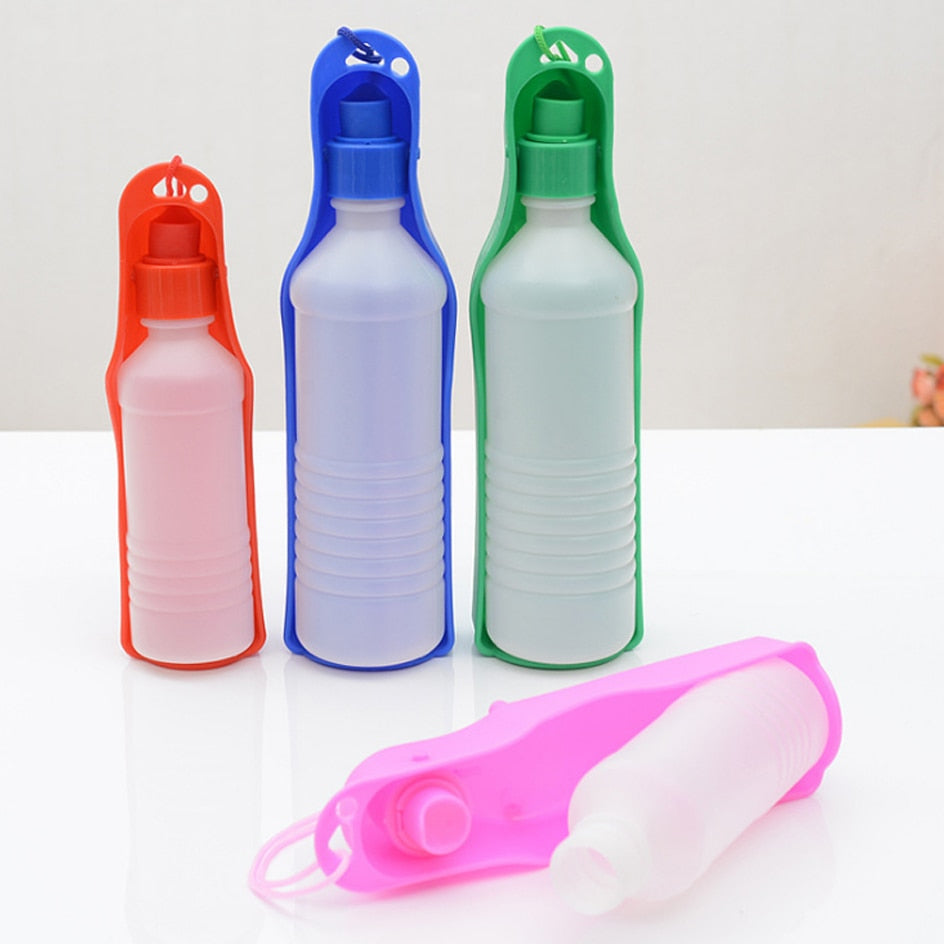 Solid Color Dog Water Bottle