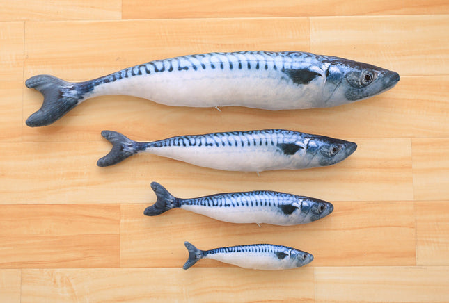 Cat Scratching Fish with Catnip - wnkrs