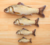 river-fish