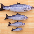 salmón / 30 centimetros