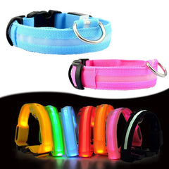 Dogs Nylon LED Collar - wnkrs