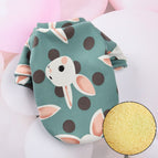 lapin vert / XS-10