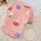 radis rose / art-12
