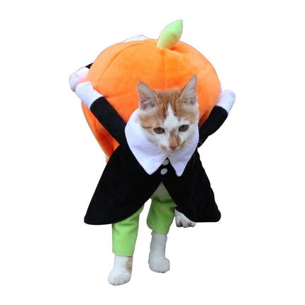 Halloween Pumpkin Costume for Cats - wnkrs