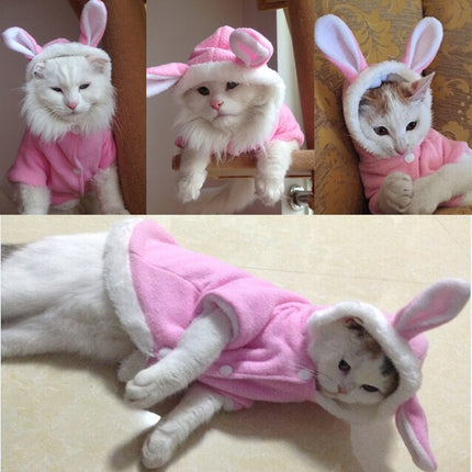 Warm Comfortable Cat Suit - wnkrs