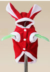 long-ear-red