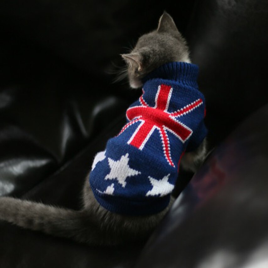 Fashion Acrylic Sweaters For Cats