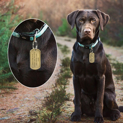 Dog's Vintage Style Personalized ID Tag - wnkrs