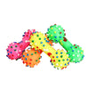 muticolor