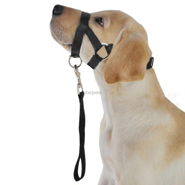 Nylon Adjustable Dog's Muzzle with Leash - wnkrs