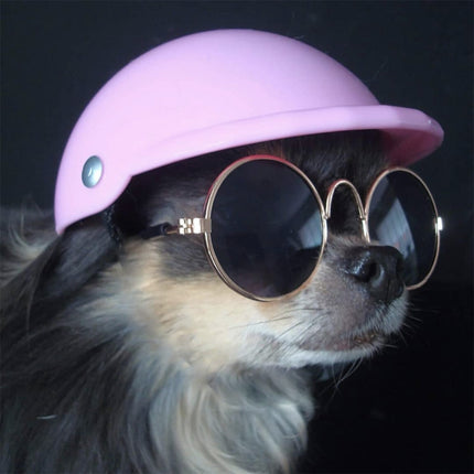 Small Pet Helmet and Sunglasses - wnkrs