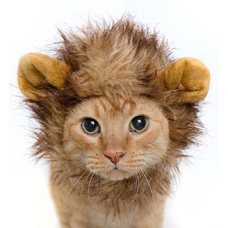 Lion-Style Cat Costume Hat