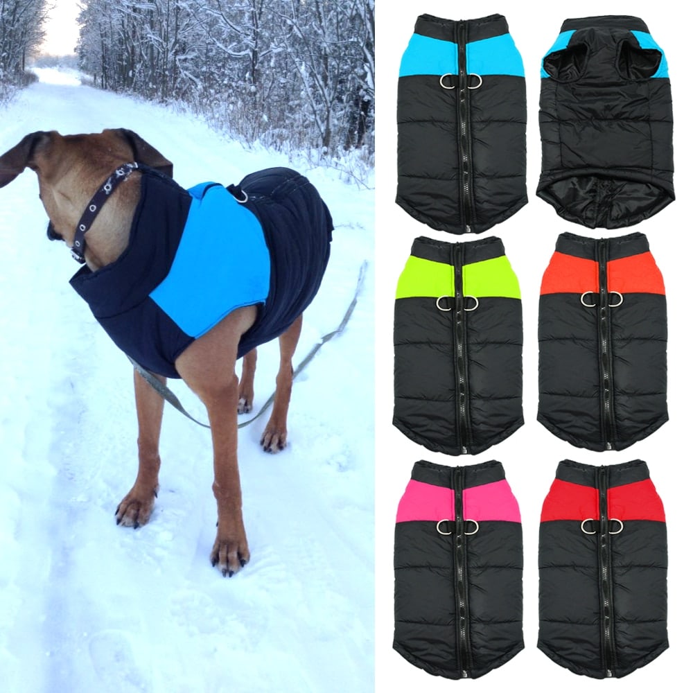 Color-Block Zip Dog Vest